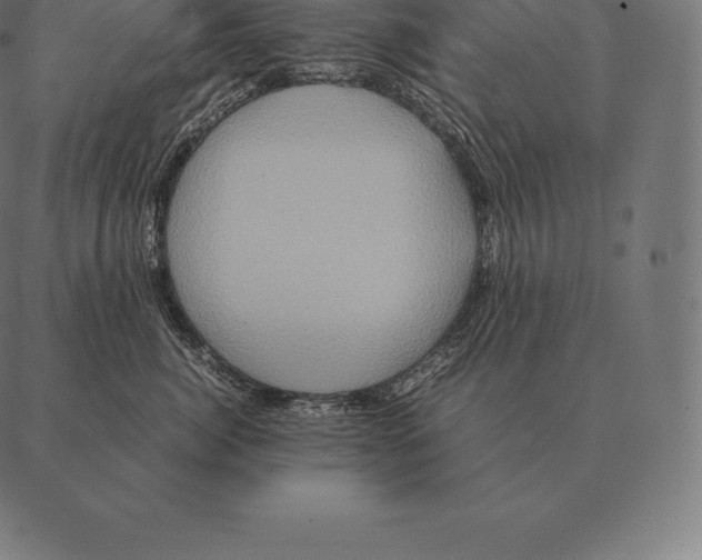 X0000087370764200705181216