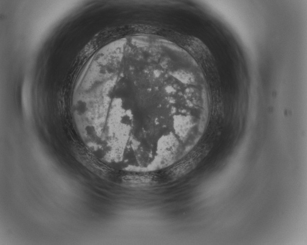 X0000087370765200705181216