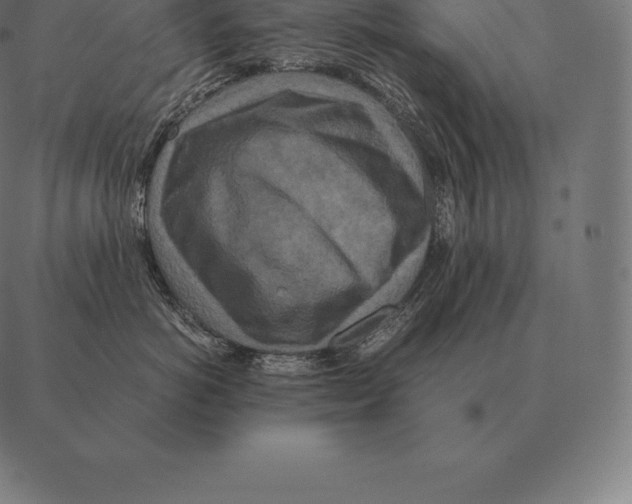 X0000087370766200705181216