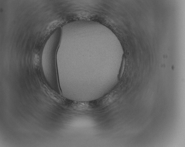 X0000087370768200705181216