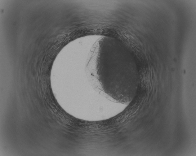 X0000087370769200705181216