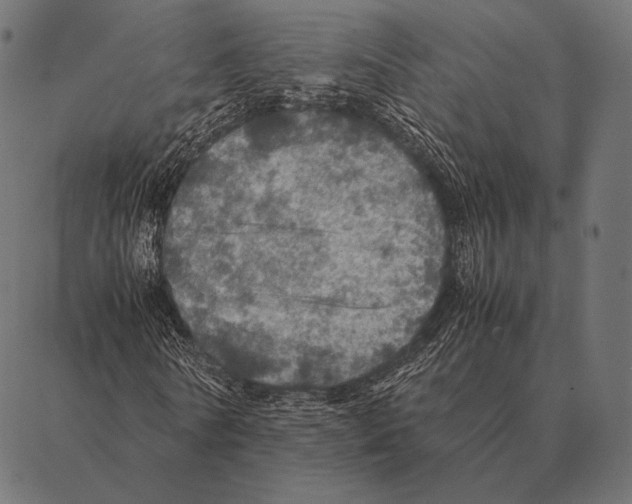 X0000087370770200705181216