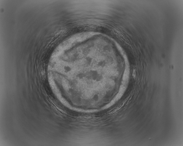 X0000087370771200705181216