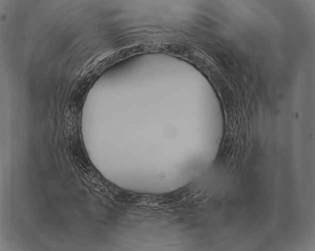 X0000087370773200705181216