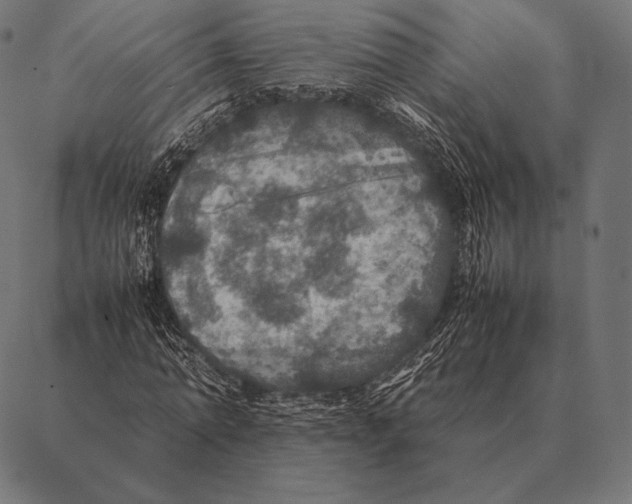 X0000087370774200705181216