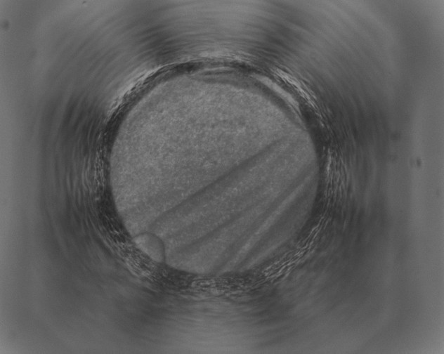 X0000087370776200705181215