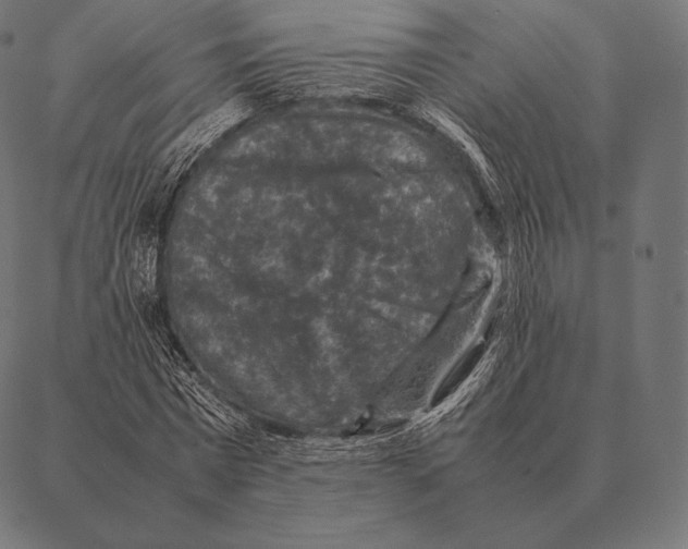 X0000087370777200705181215