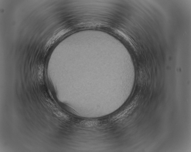 X0000087370778200705181215