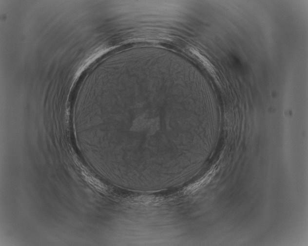 X0000087370779200705181215