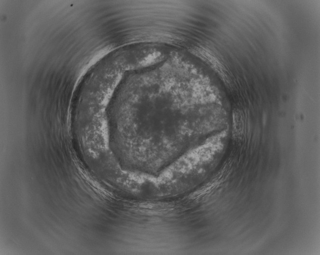 X0000087370780200705181215