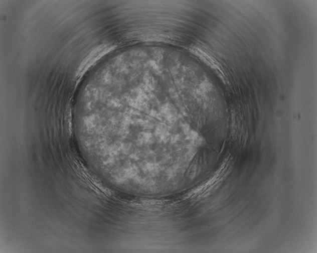 X0000087370782200705181215