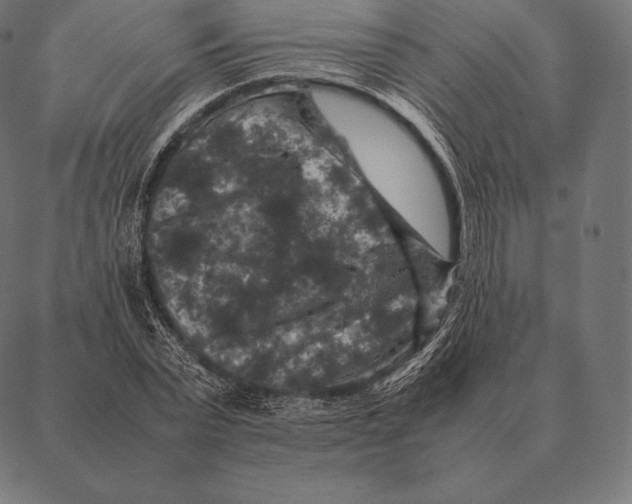 X0000087370783200705181215