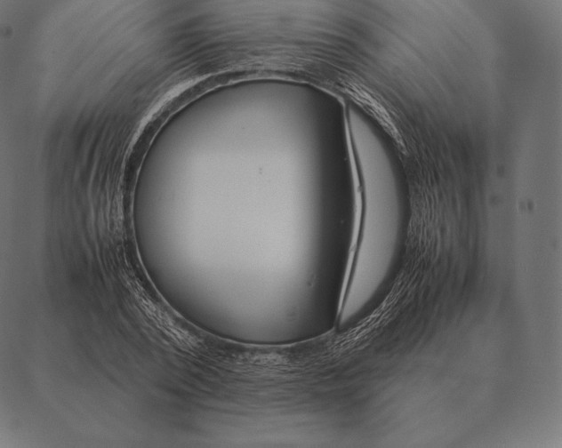 X0000087370784200705181215