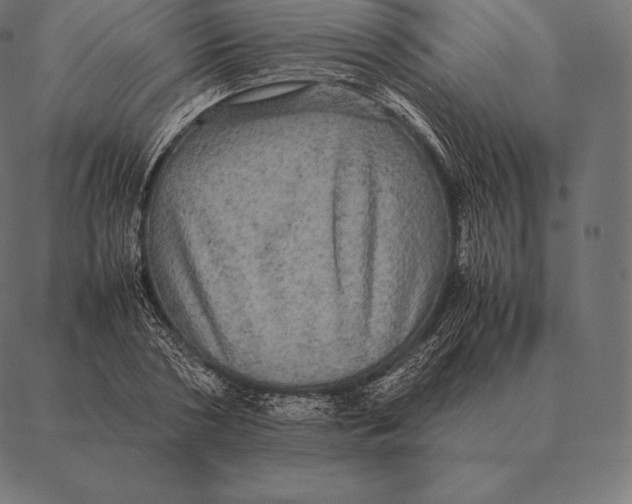 X0000087370786200705181215