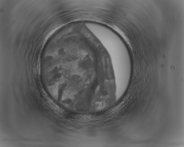 X0000087370791200705181215