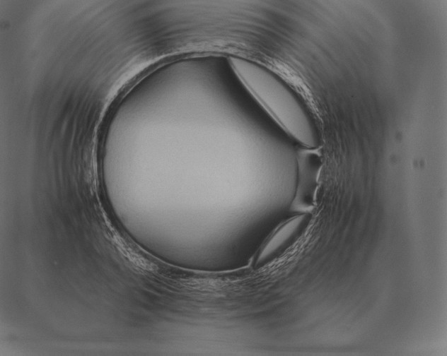 X0000087370792200705181215