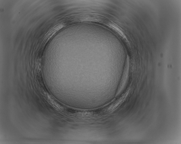 X0000087370793200705181215