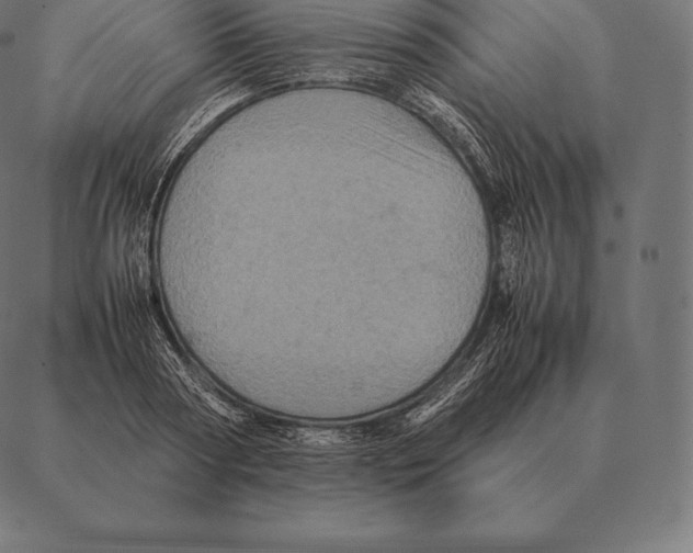 X0000087370794200705181215