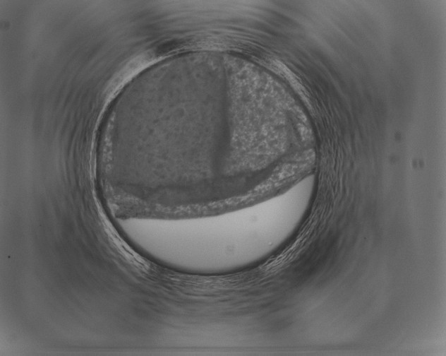 X0000087370795200705181215