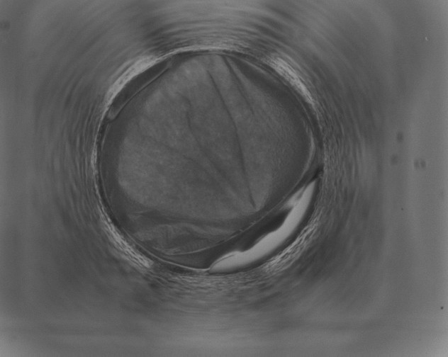 X0000087370797200705181215