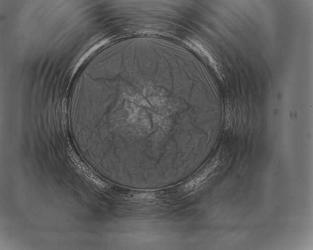 X0000087370798200705181215