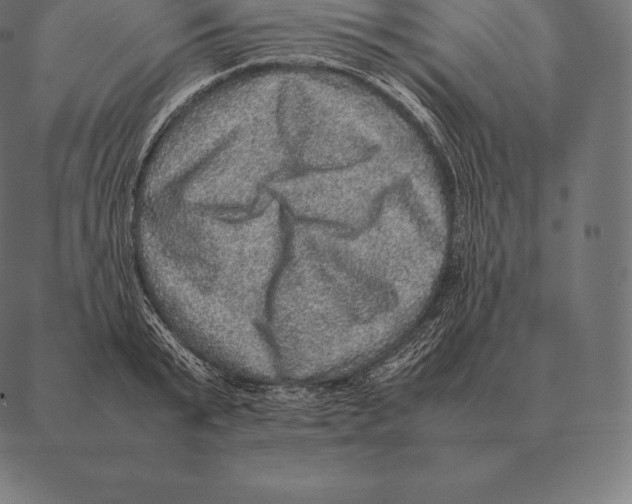 X0000087370799200705181215