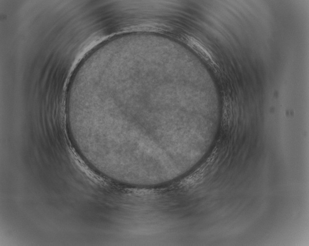 X0000087370800200705181215