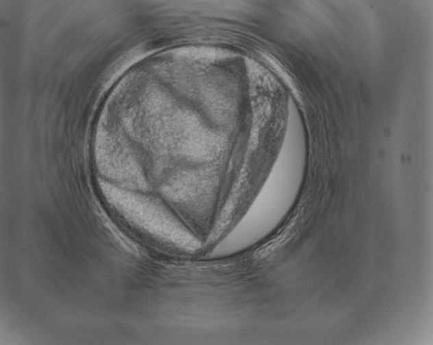 X0000087370803200705181215