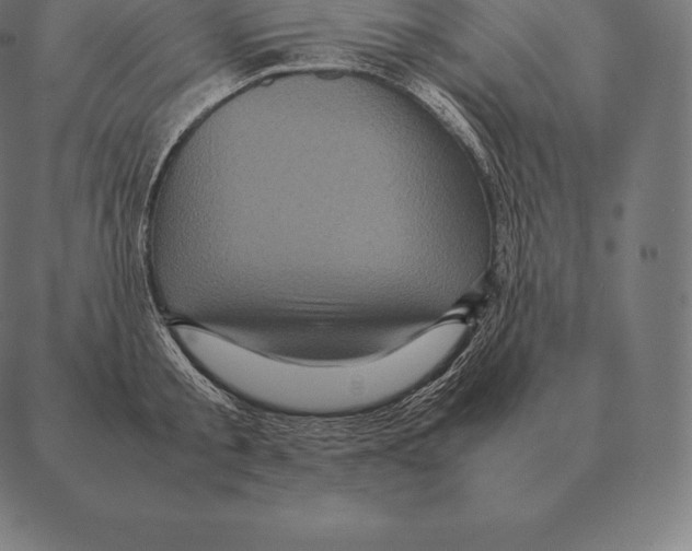 X0000087370805200705181215