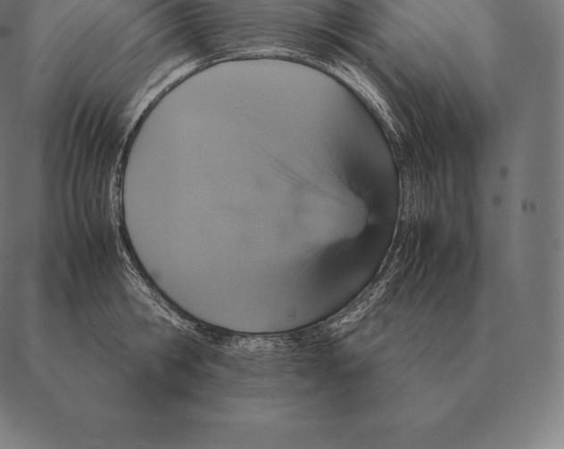 X0000087370806200705181215