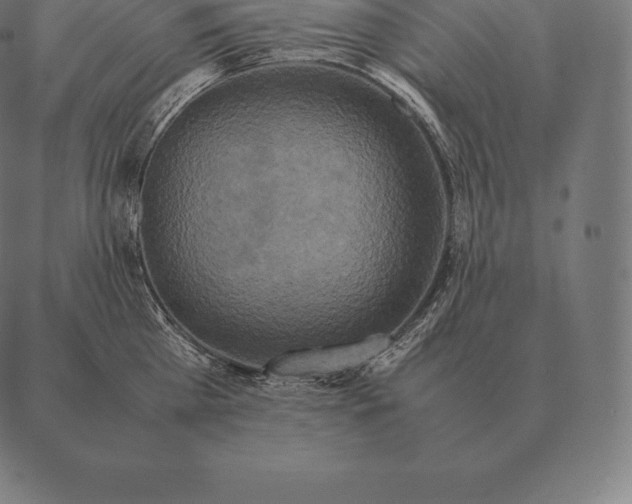 X0000087370809200705181215