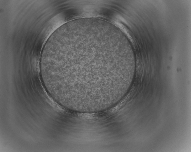 X0000087370810200705181215