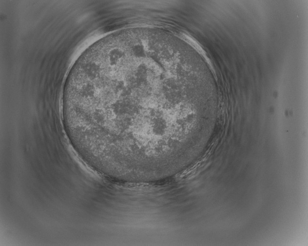 X0000087370811200705181215