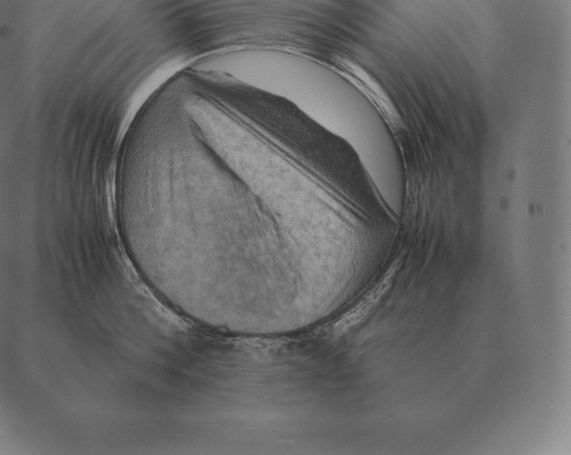 X0000087370812200705181215