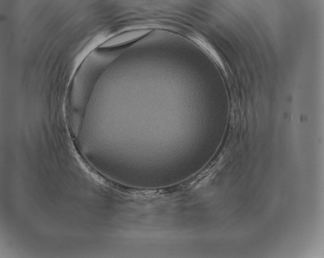 X0000087370813200705181215