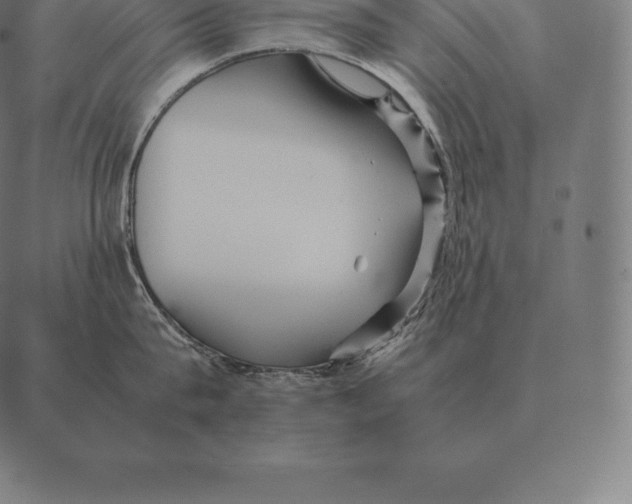 X0000087370815200705181215