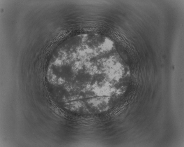 X0000087370817200705181214