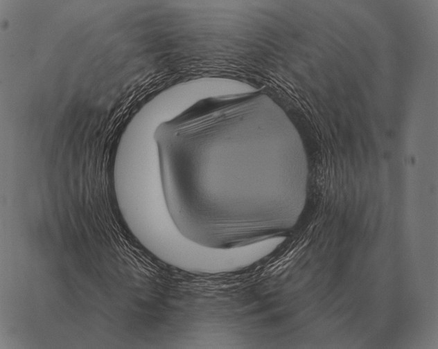 X0000087370818200705181214