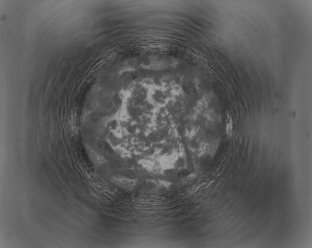 X0000087370819200705181214