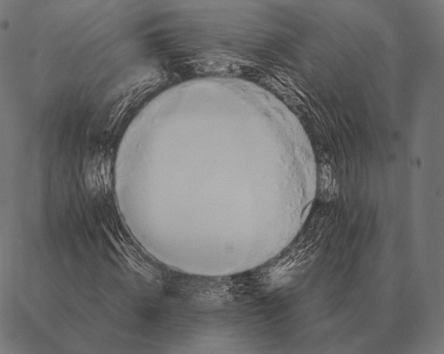 X0000087370820200705181214