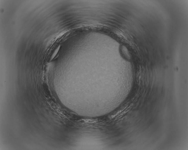 X0000087370822200705181214