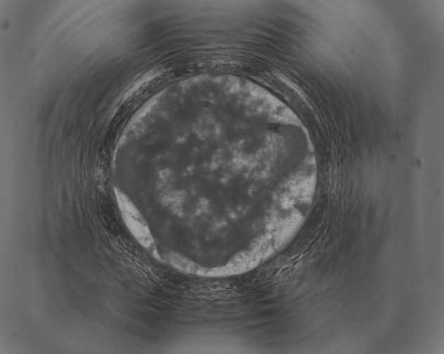 X0000087370823200705181214