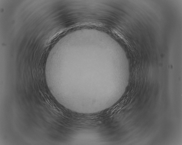 X0000087370824200705181214