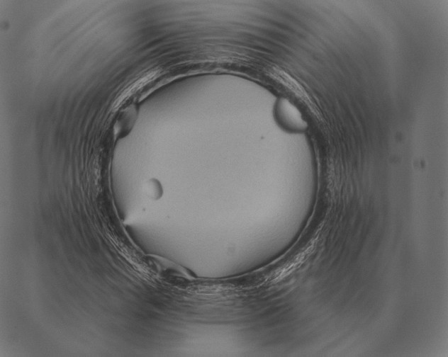 X0000087370826200705181214