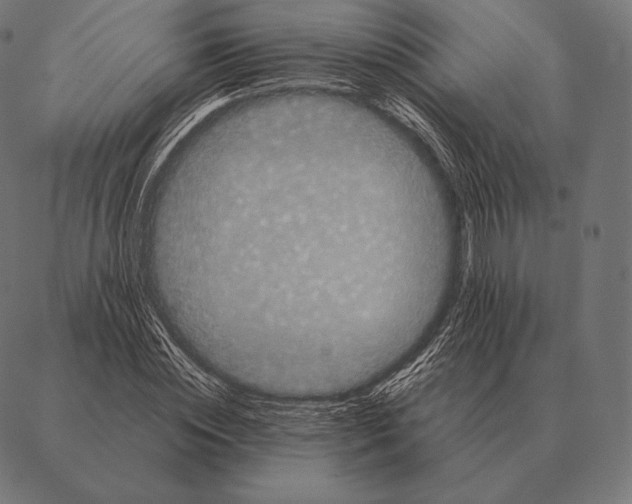 X0000087370828200705181214