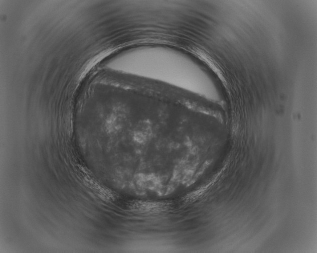 X0000087370829200705181214