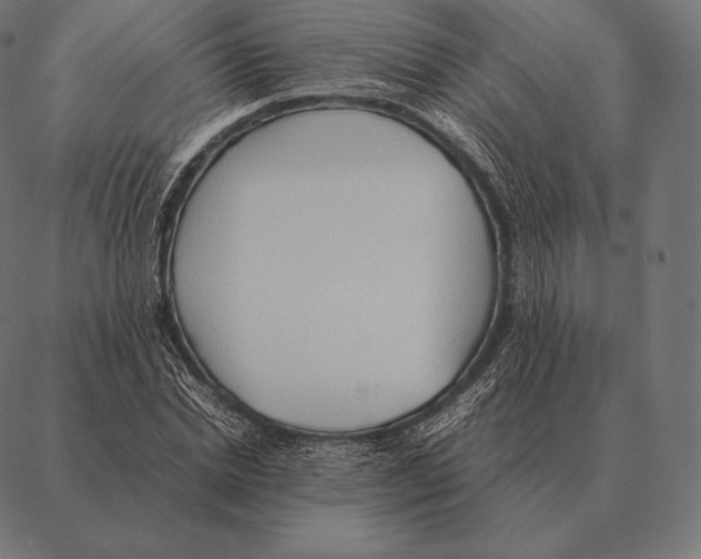 X0000087370830200705181214