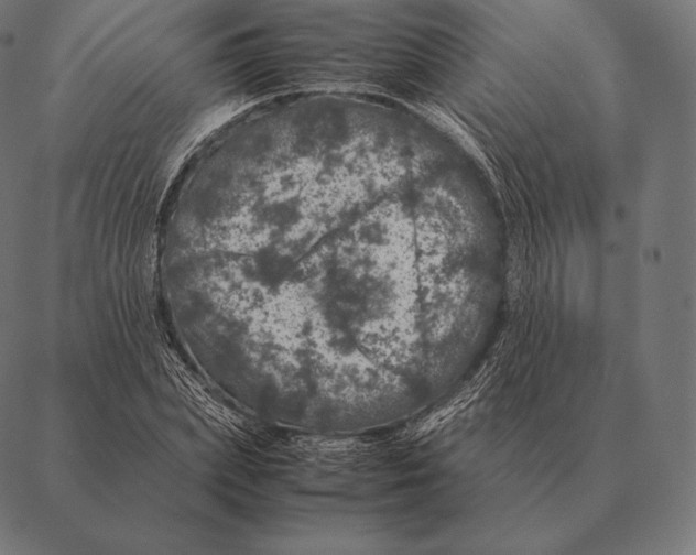 X0000087370831200705181214