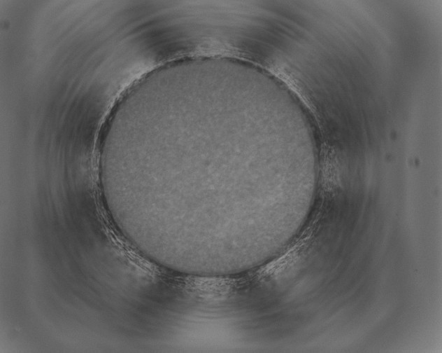 X0000087370832200705181214