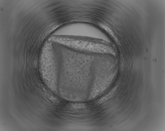 X0000087370833200705181214